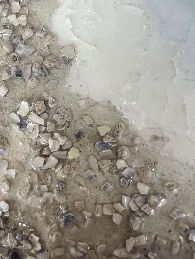 Segelboote, Strand & Meer